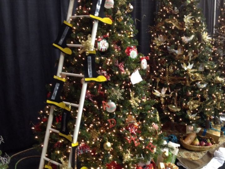 Image for The Fire Ladder Tree 