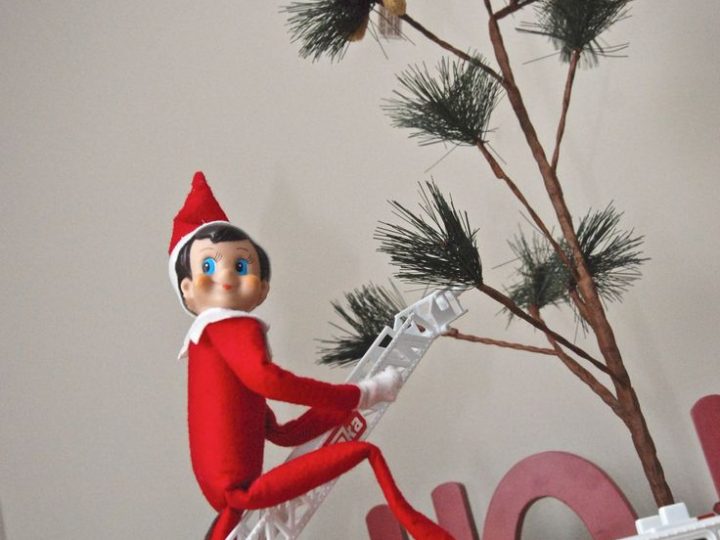 Image for Elfie saving the Puppy 