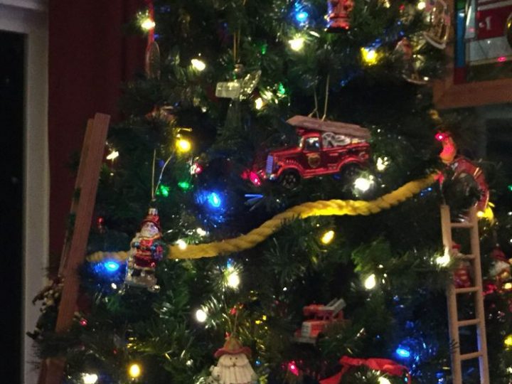 Image for Hook and Ladder Tree 